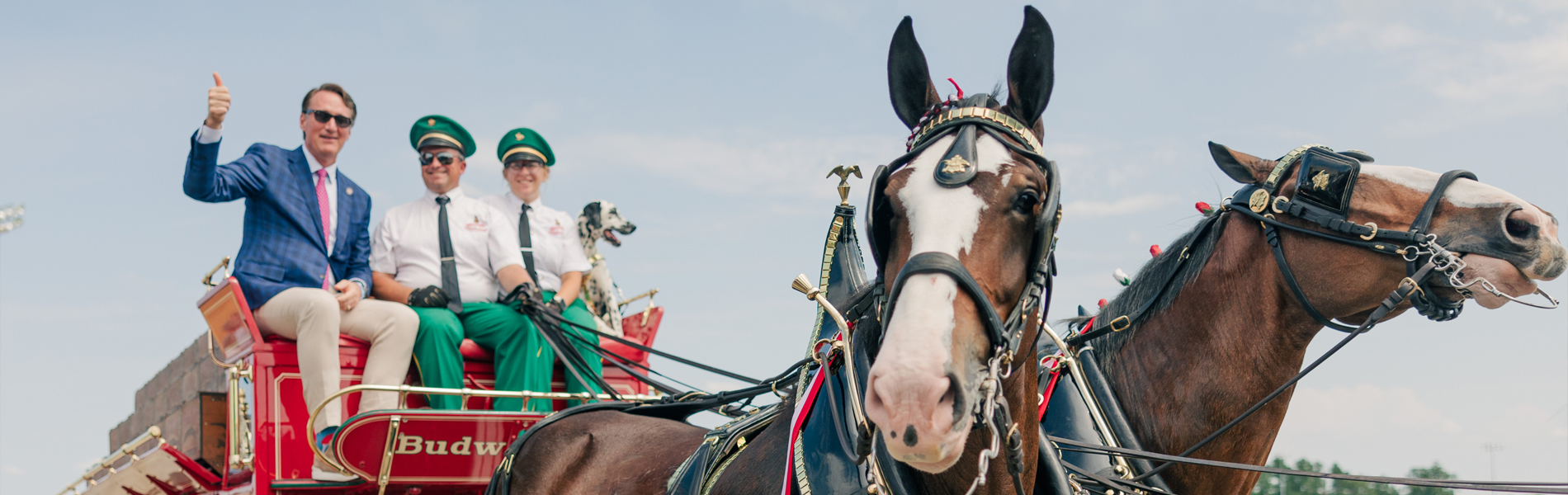 የተንሸራታች ምስል