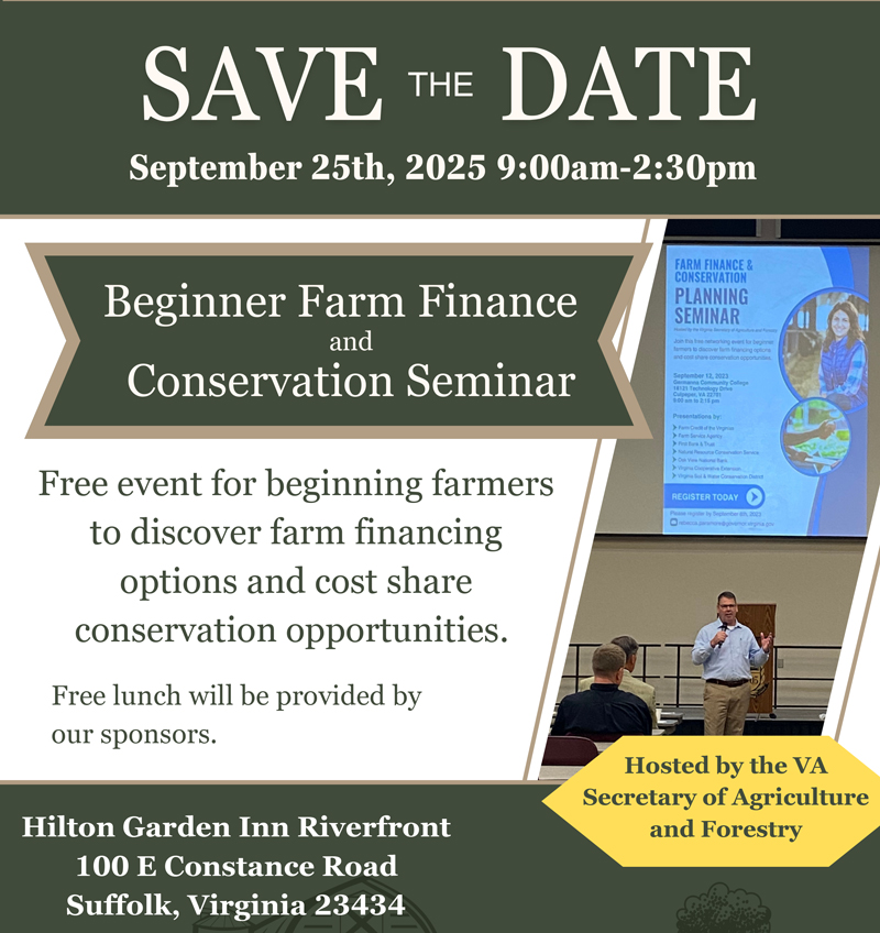 FF Suffolk ድንክዬ